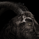 Illustration for article titled Will Goats Recover From The Witch? Yes.